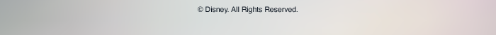 Disney All Rights Reserved