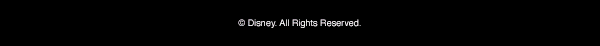 Disney All Rights Reserved