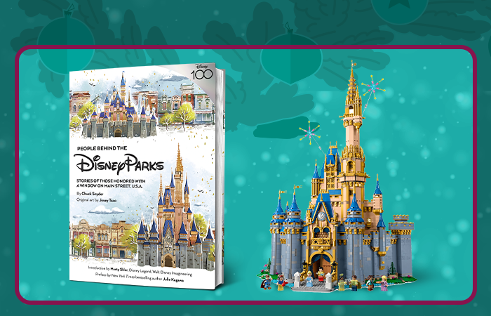 Disney Parks Book