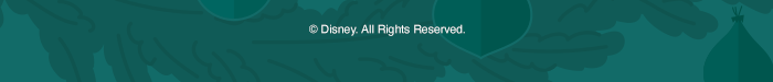 Disney All Rights Reserved