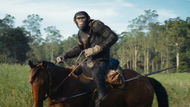 In a scene from the Kingdom of the Planet of the Apes, Noa (Owen Teague), a young ape, rides a brown horse in a field. He sports accessories from his village, the Eagle Clan, including a bracelet and fabric wrapped around his left palm, designed for eagles to perch on. The background features trees from a forest.