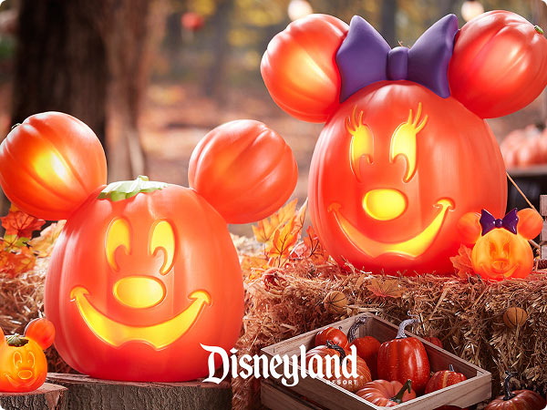 Mickey and Minnie pumpkin decorations glowing.