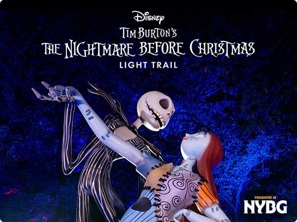 Jack Skellington and Sally Dance under moonlight in The Nightmare Before Christmas Light Trail poster.